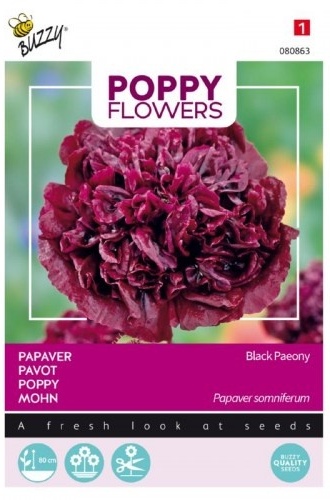 Papaver somniferum Okrasný mak plnokvetý pivonkovitý Black Paeony cca 0,08 g